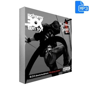 B.O.K - W Stronę Zmiany MP3 