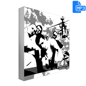 B.O.K - Raport z Walki o Wartość MP3